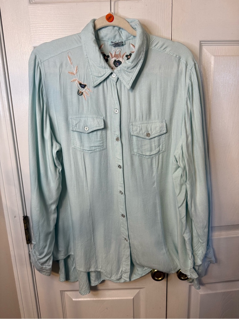 Nostalgia Pale Blue Embroidered Button-Down Shirt